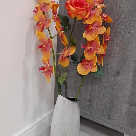 Diamond * Podgoriçe