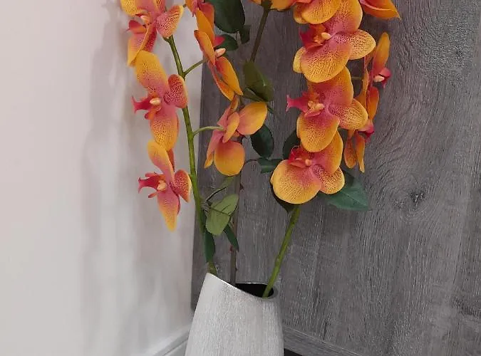 Diamond * Подгориця